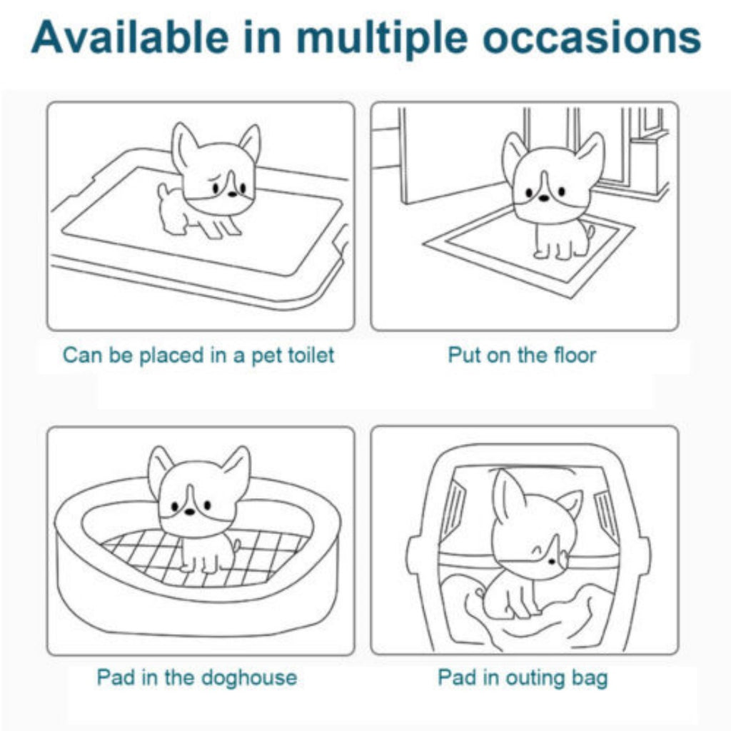 Training Cat Comfort Bed