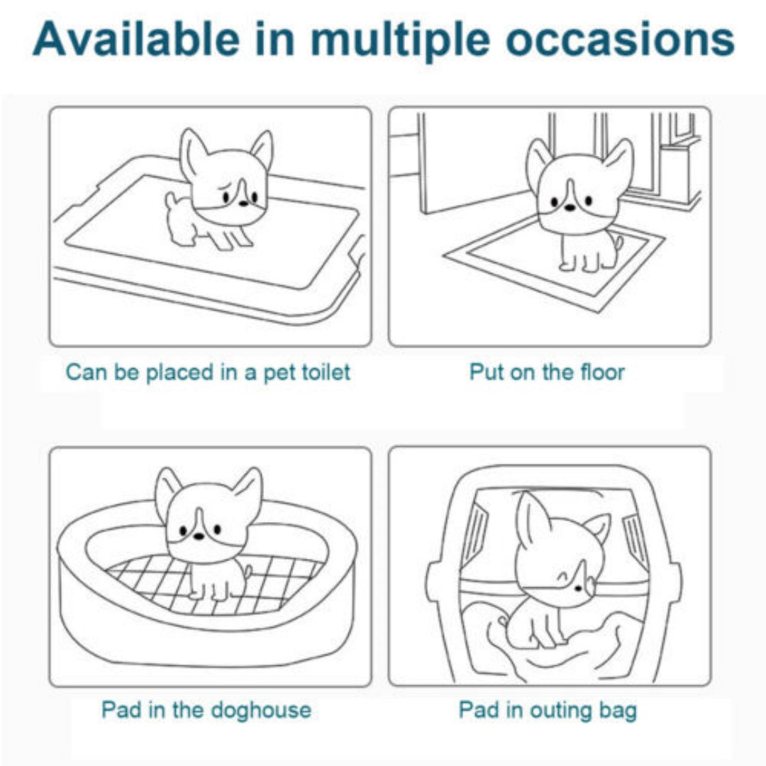 Training Cat Comfort Bed