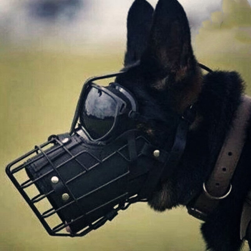 Tactical Mouth Cage Horse Dog Golden