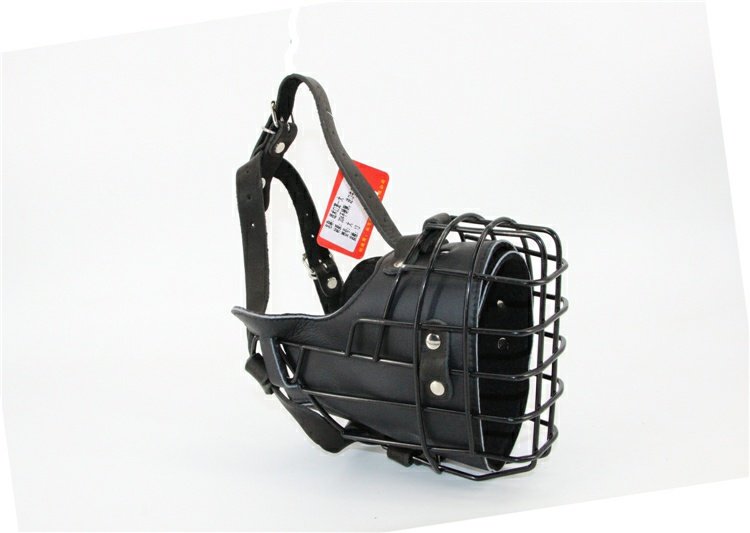 Tactical Mouth Cage Horse Dog Golden
