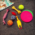 Vocal Dog Enrichment Toy