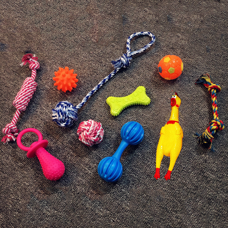 Vocal Dog Enrichment Toy