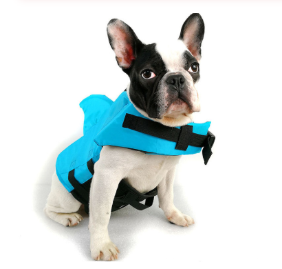 https://cf.cjdropshipping.com/20190903/1195873086793.png