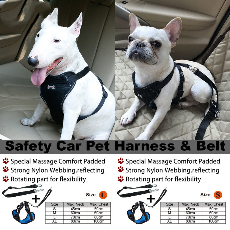 Comfortable Massage Car Pet Grooming Brush