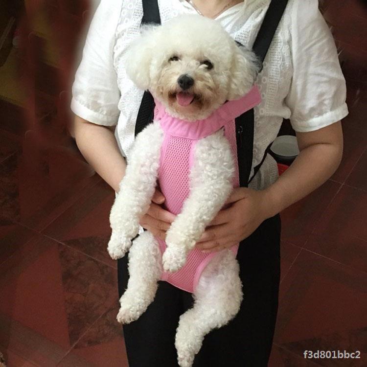 Adjustable Pet Outdoor Harness & Strap