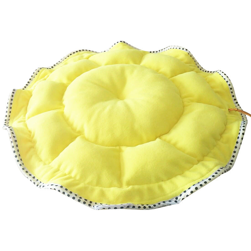 https://cf.cjdropshipping.com/203002/1281982350562.jpg