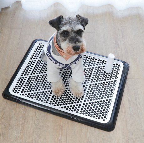 Dog Toilet Large Small Automatic Pet