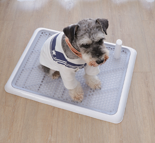Dog Toilet Large Small Automatic Pet