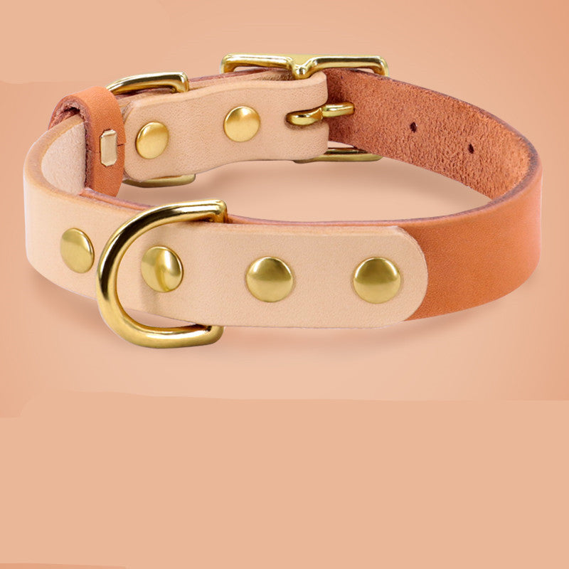 https://cf.cjdropshipping.com/2045/1575551124314.jpg