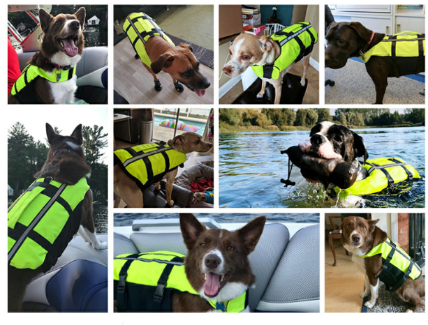 Inflatable Diving Fabric Pet Life Preserver