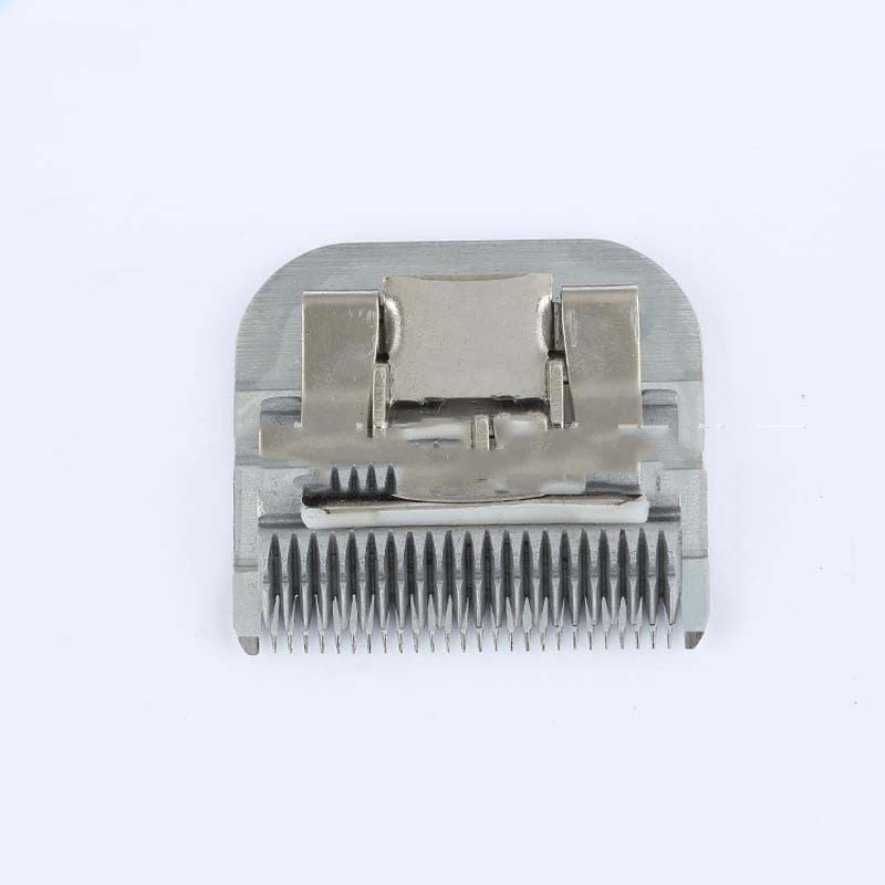 https://cf.cjdropshipping.com/1615621361632.jpg