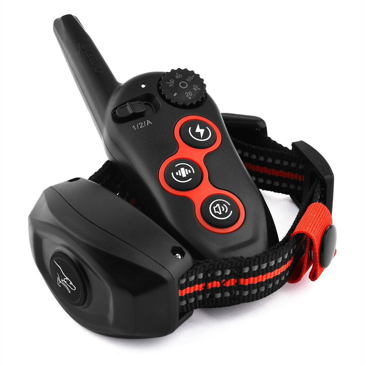https://cf.cjdropshipping.com/1623374385905.jpg
