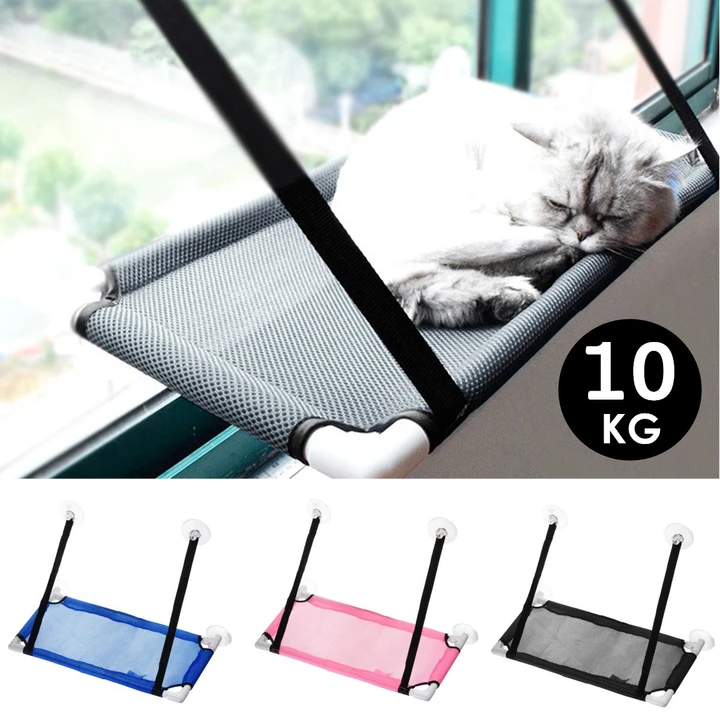 Cat Window Chuck Hammock