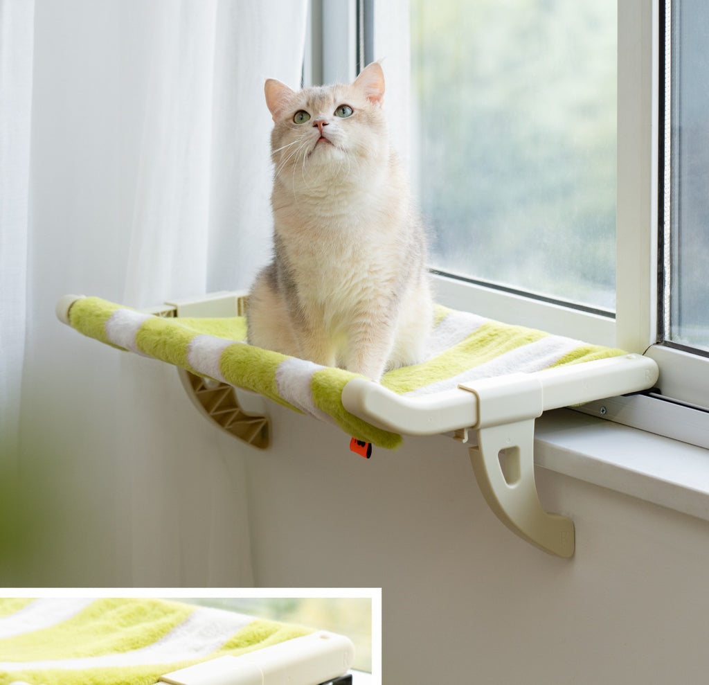 Cat Hanging Hammock