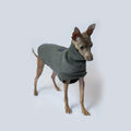Dog Coat Autumn Winter Thickened Windproof