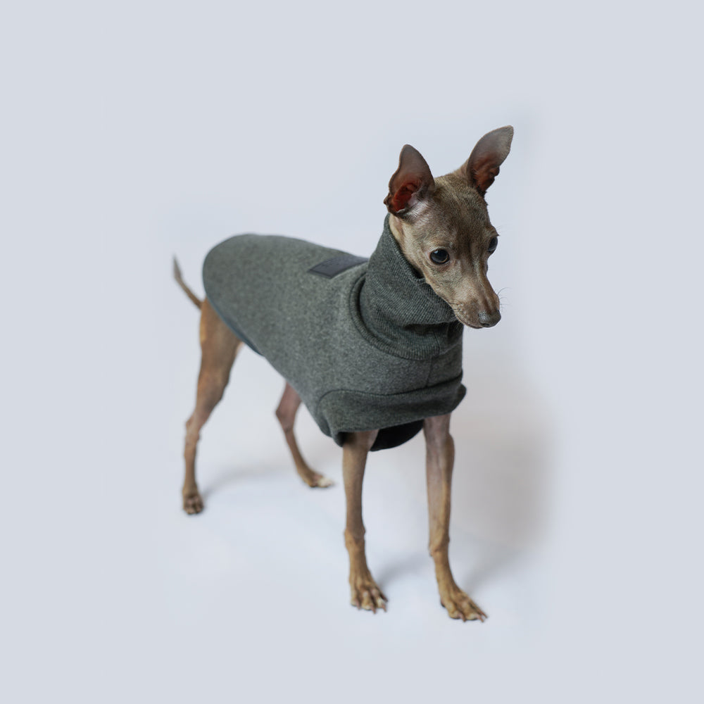 Dog Coat Autumn Winter Thickened Windproof