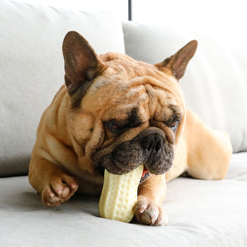 Simulation Peanut Dog Enrichment Toy
