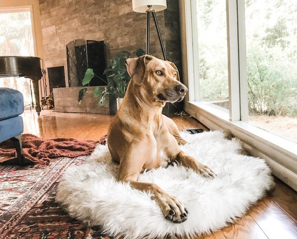 Pet Dog Plush Mat Beige Rest