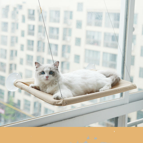 Cat Hammock Suction Cup Wall Mounted
