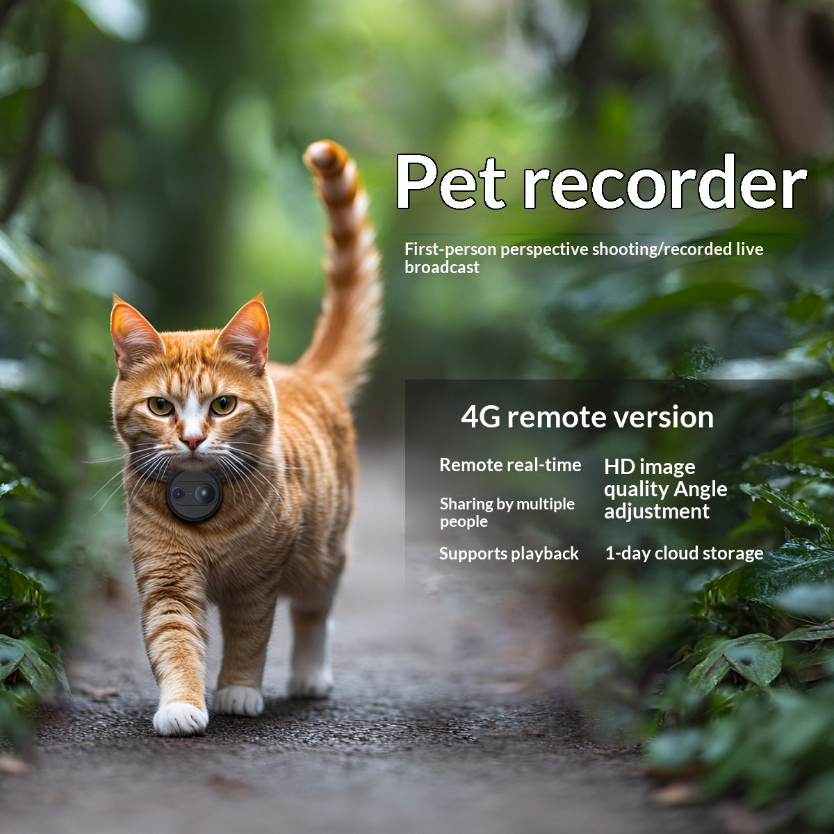 View Camera Recorder Adjustable Pet Collar