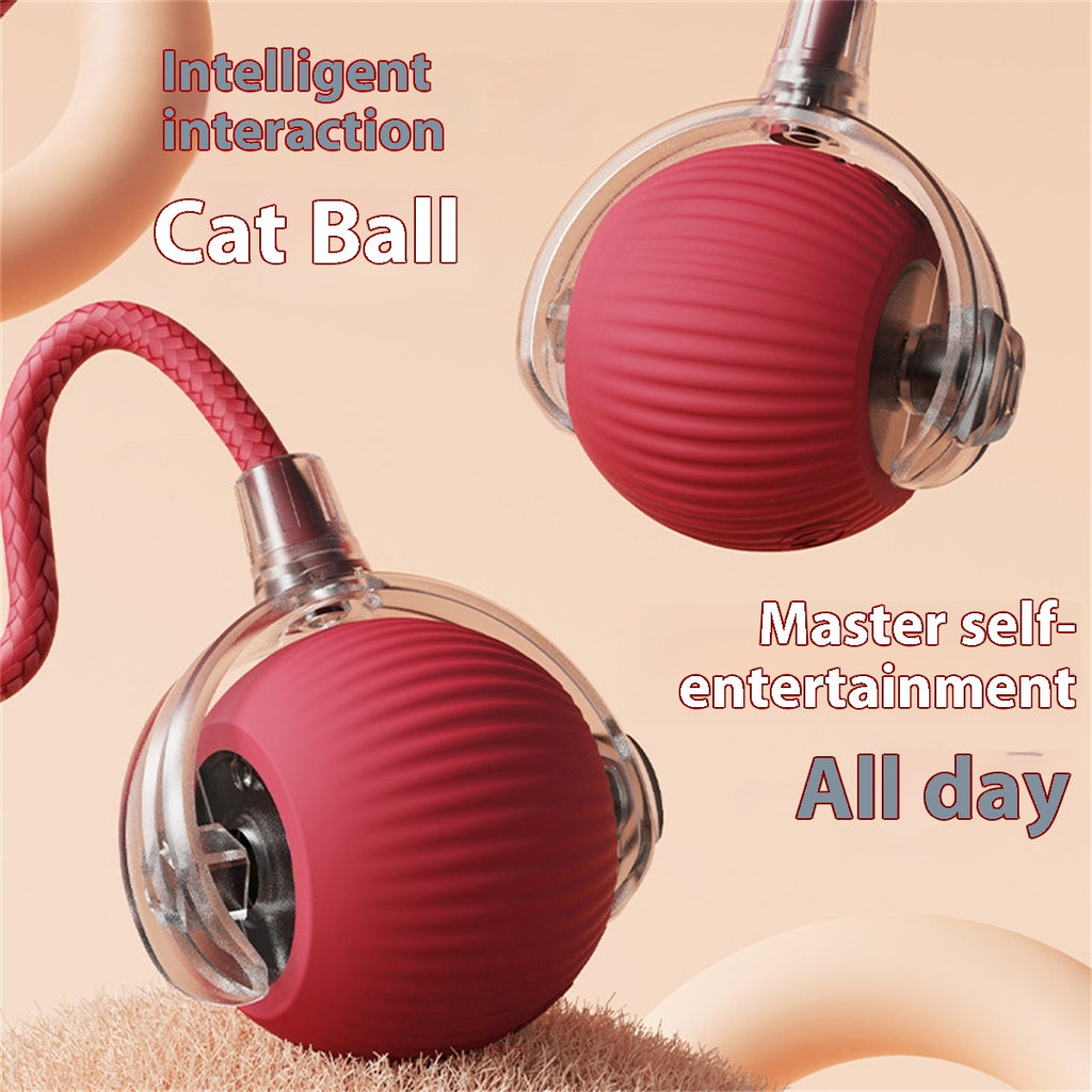 https://oss-cf.cjdropshipping.com/product/2024/12/14/02/23c8708b-34d9-4ff2-9244-84e324873b94_trans.jpeg