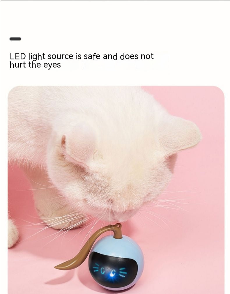 https://cf.cjdropshipping.com/17063136/2401270702000324500.jpg