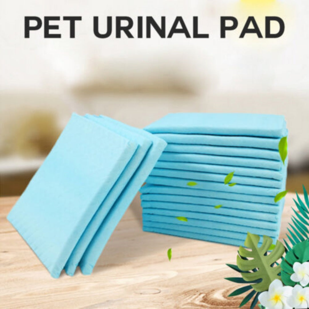 Training Cat Comfort Bed
