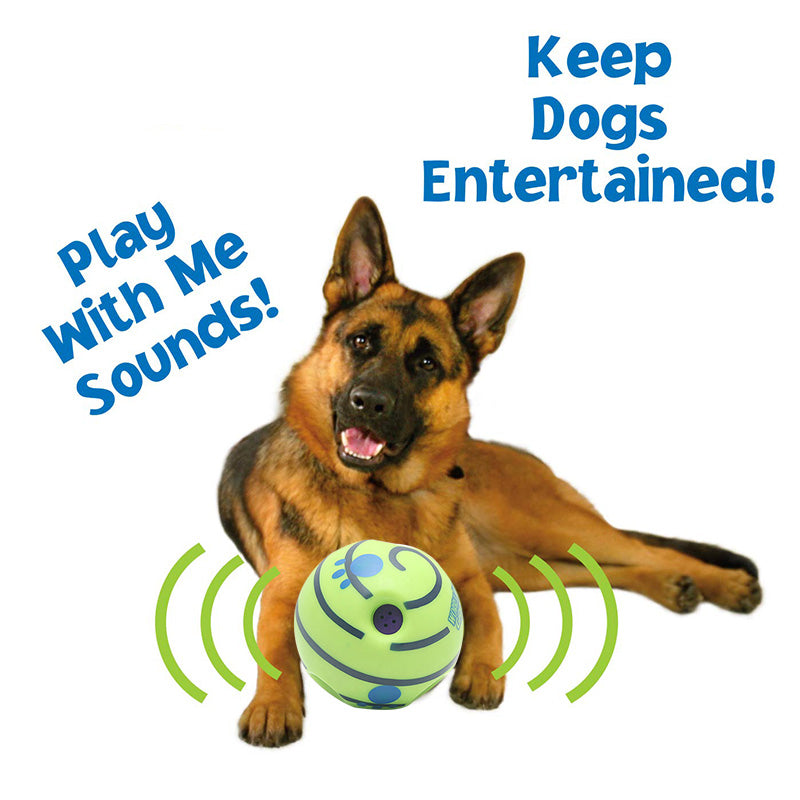 Molar Dog Enrichment Toy