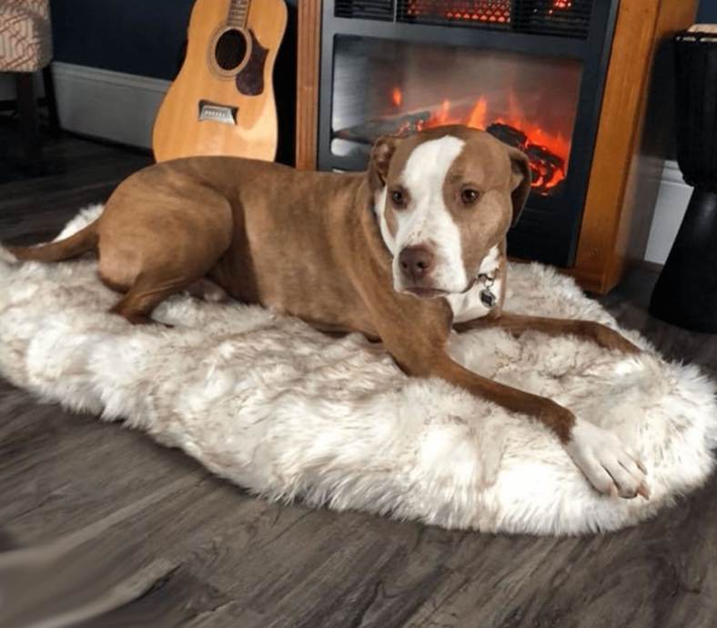 Pet Dog Plush Mat Beige Rest