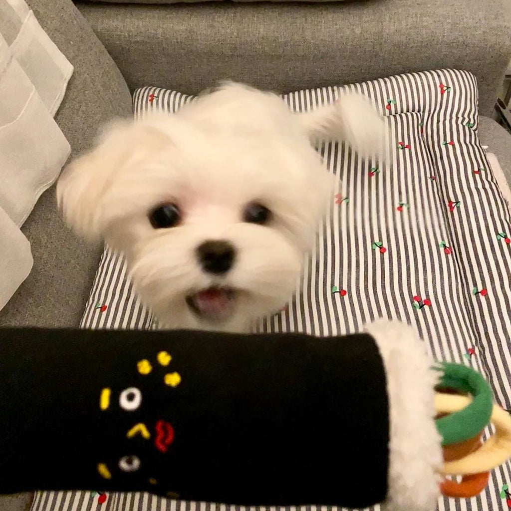 Interactive Hidden Food Puzzle Toy