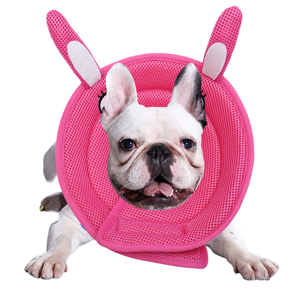 Pet Collar Cartoon Dog Cleaner Guard
