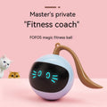 https://cf.cjdropshipping.com/quick/product/36b49ebd-645c-4461-b22f-db29ee3d00ae.jpg
