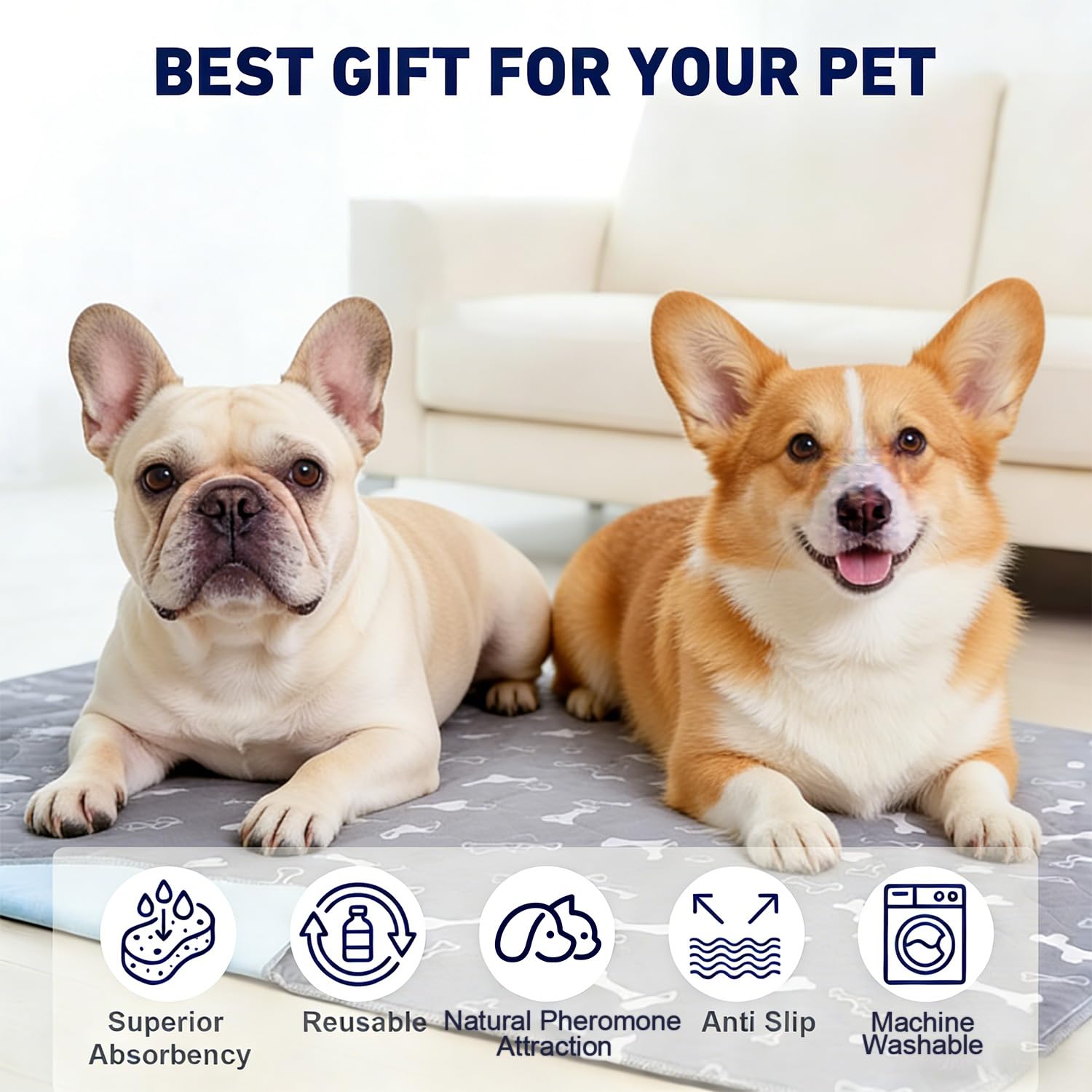 Training Dog Comfort Bed