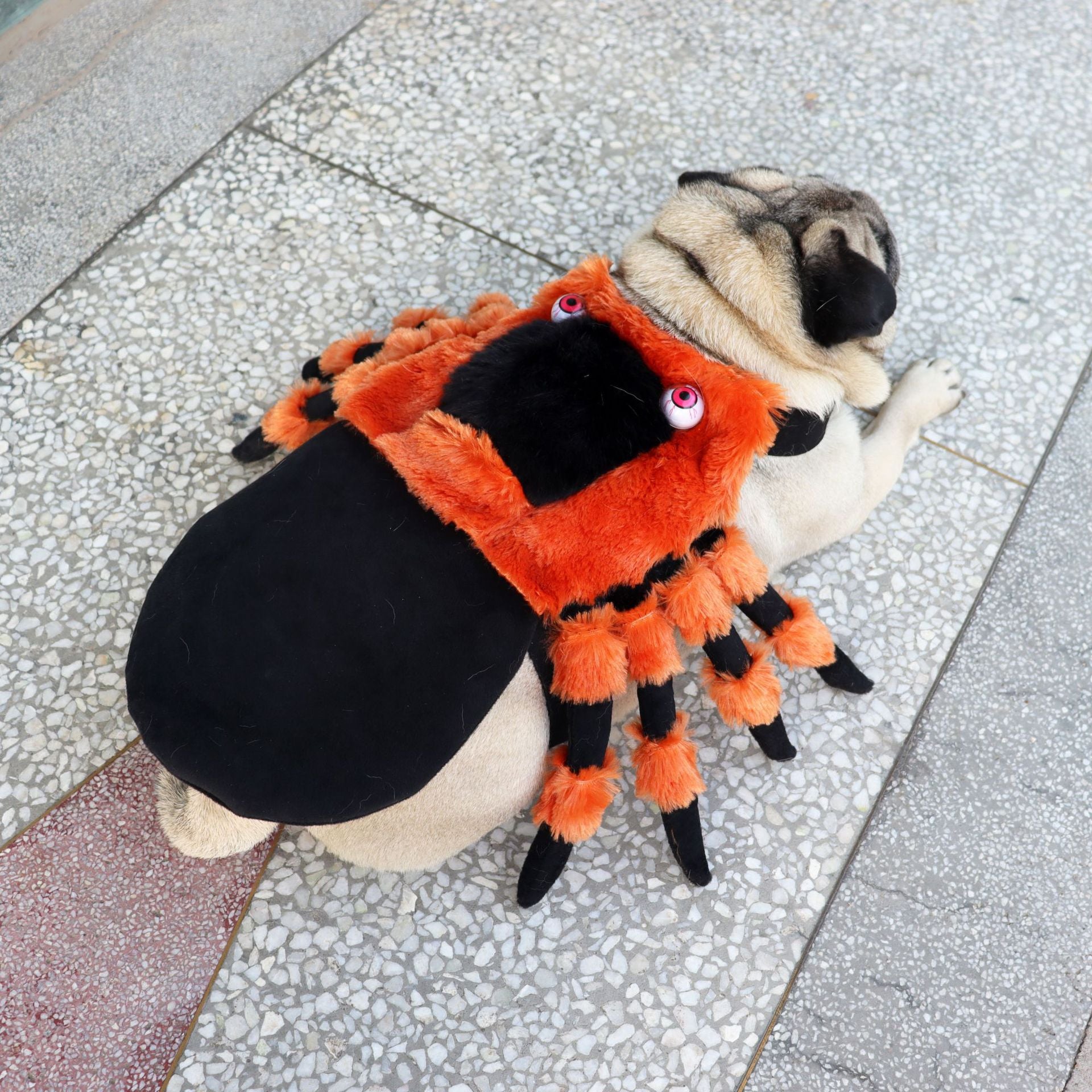 Pet Clothes Halloween Spider Costume