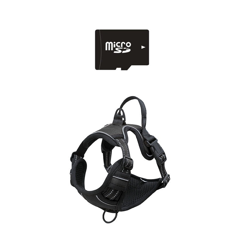 View Camera Recorder Adjustable Pet Collar