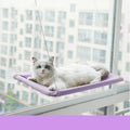 Cat Hammock Suction Cup Wall Mounted