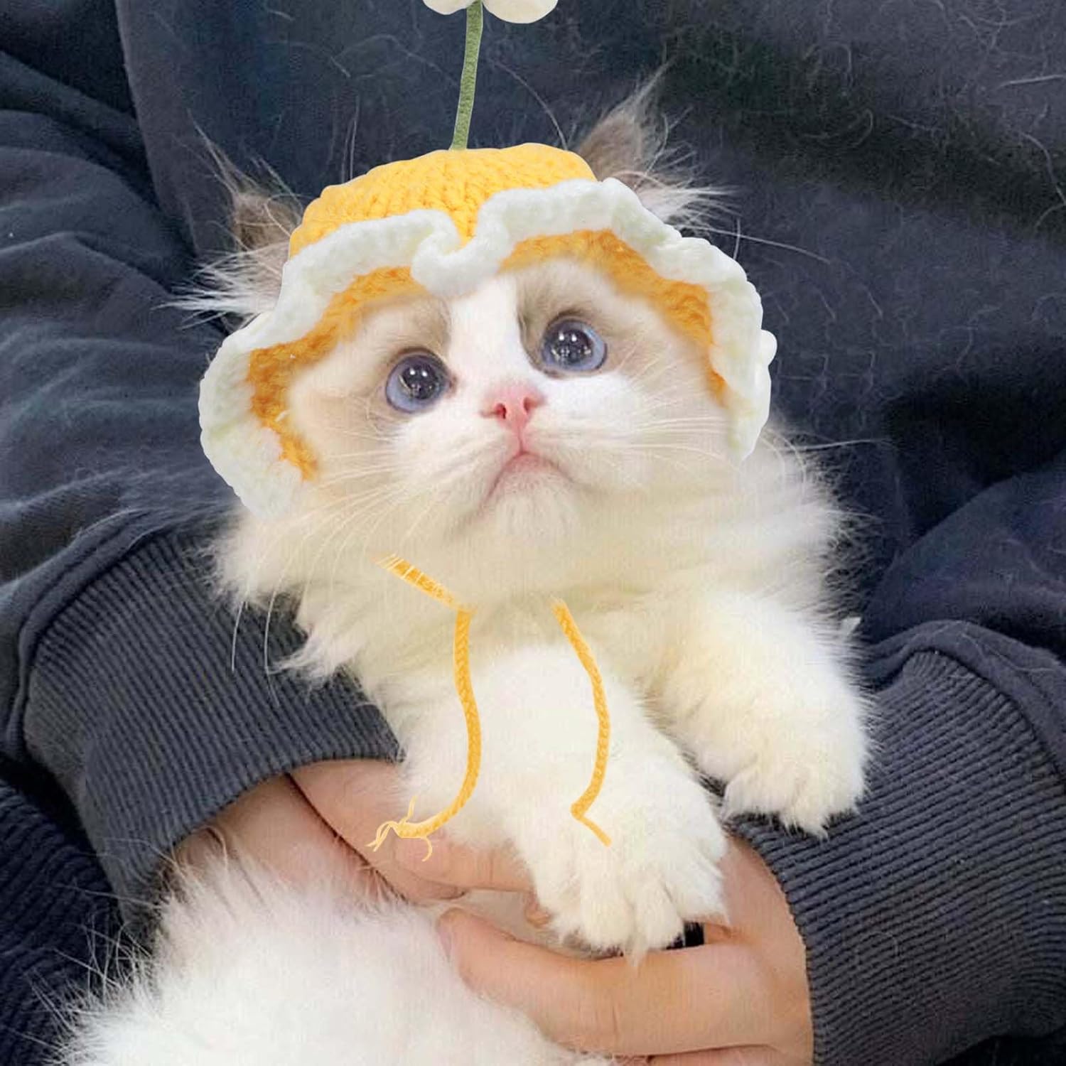 Cute Knit Cat Hat Funny Dog For Cats And Small Dogs Kitten Puppy...