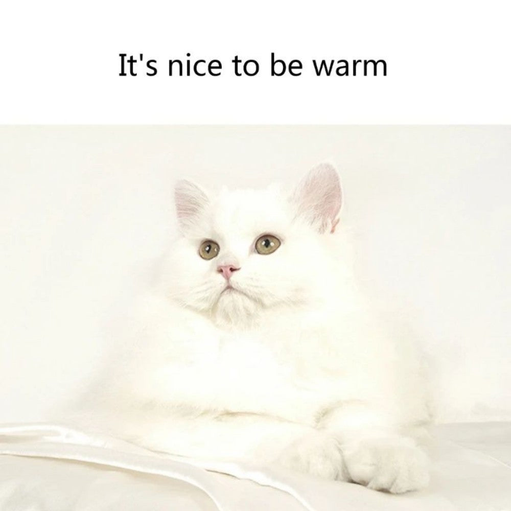 Dog Bed Mat Pet Sleeping