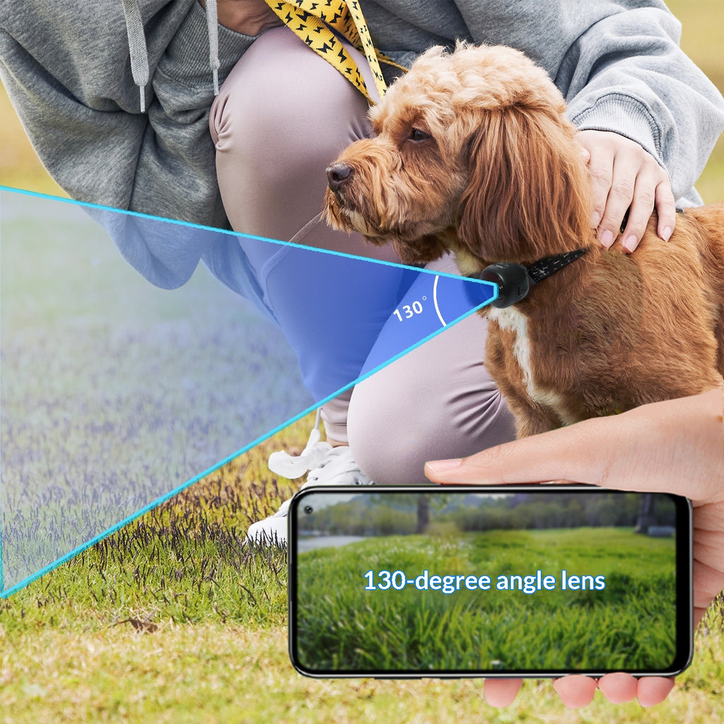 View Camera Recorder Adjustable Pet Collar