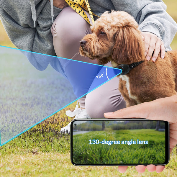View Camera Recorder Adjustable Pet Collar