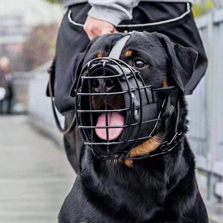 Tactical Mouth Cage Horse Dog Golden