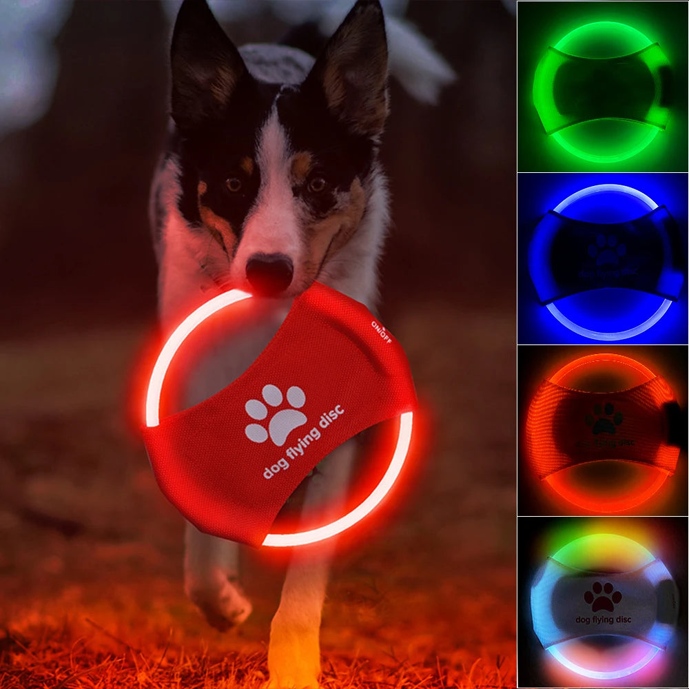Dog Flying Discs Light Glowing Led