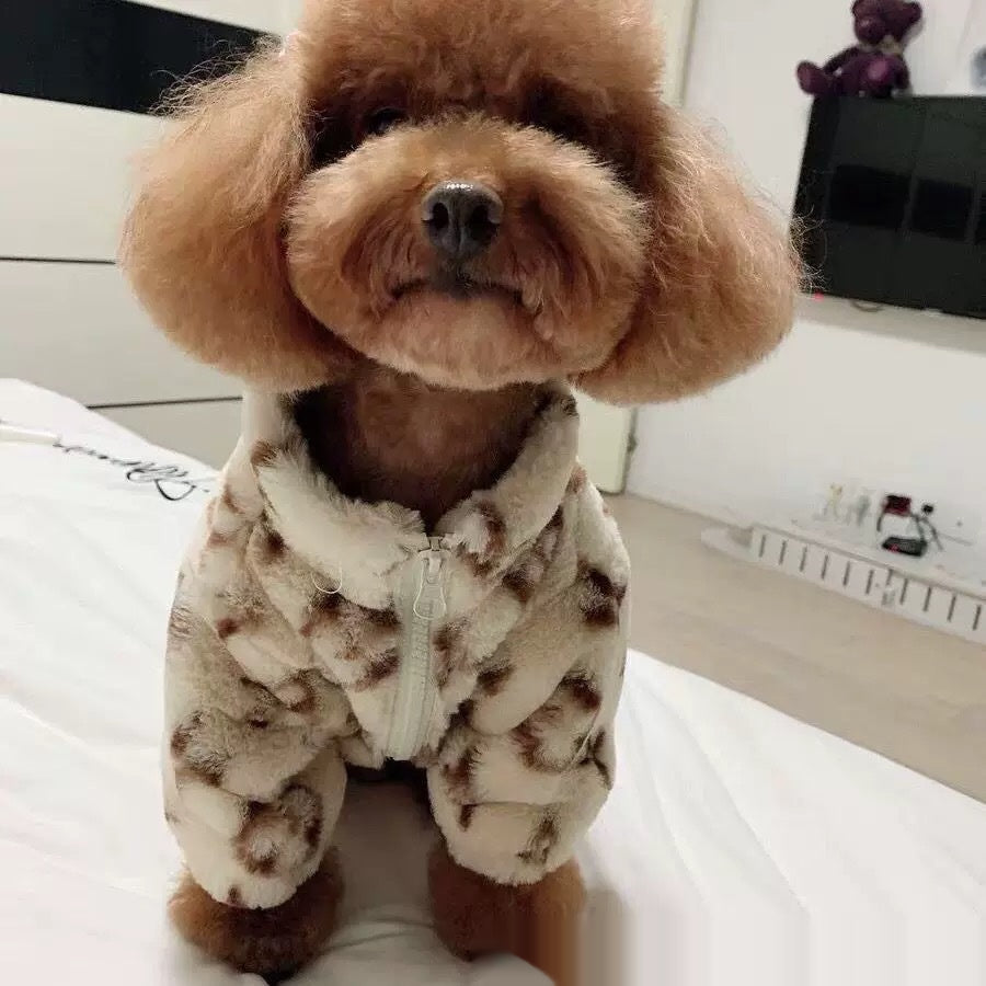 Clothes Autumn Winter Pet Grooming Brush