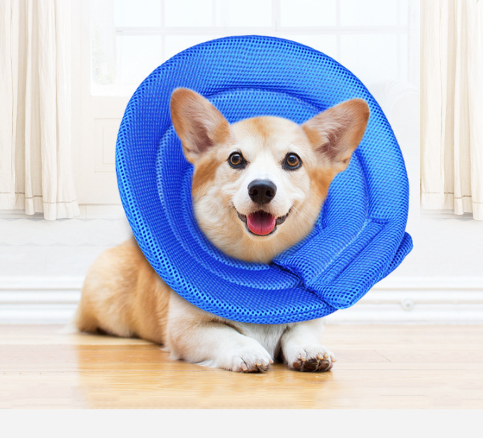 Pet Collar Cartoon Dog Cleaner Guard