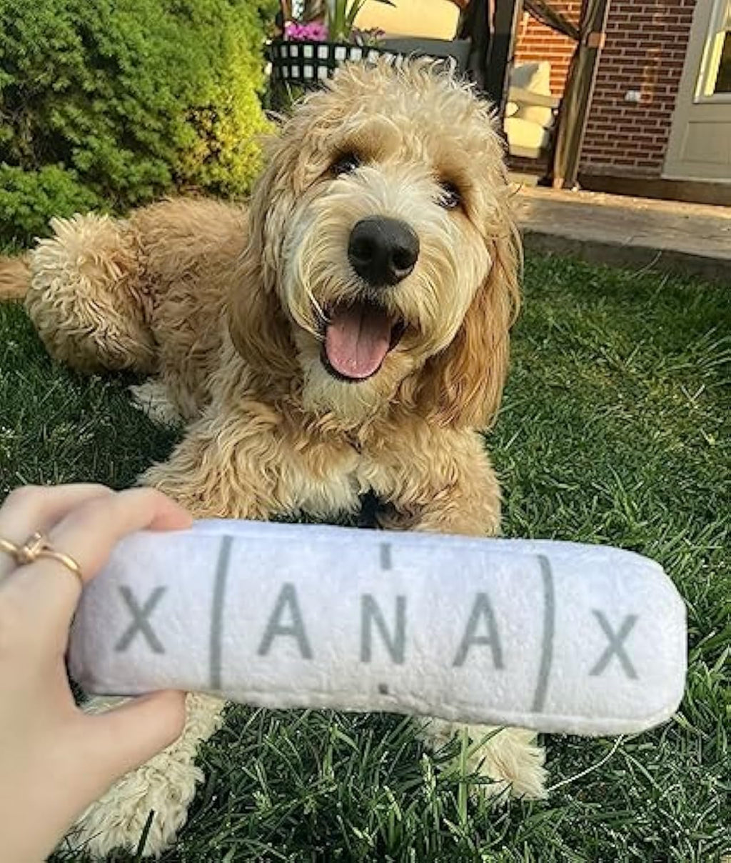 Plush Dog Enrichment Toy