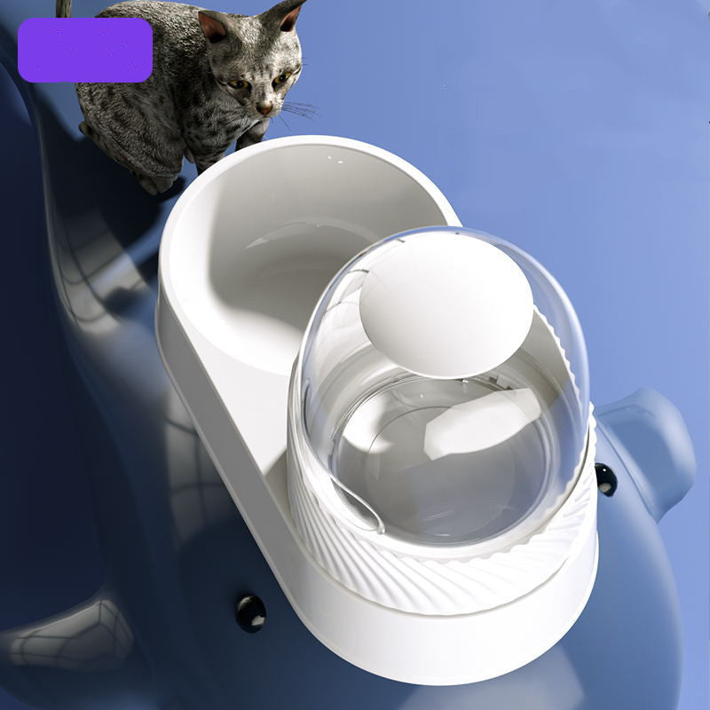 Water Drinker Dog Cat Bowl Combination