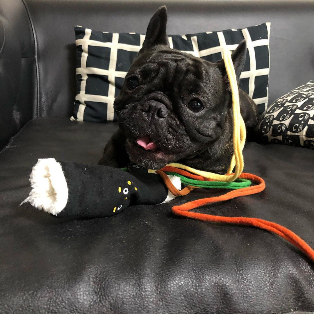 Interactive Hidden Food Puzzle Toy