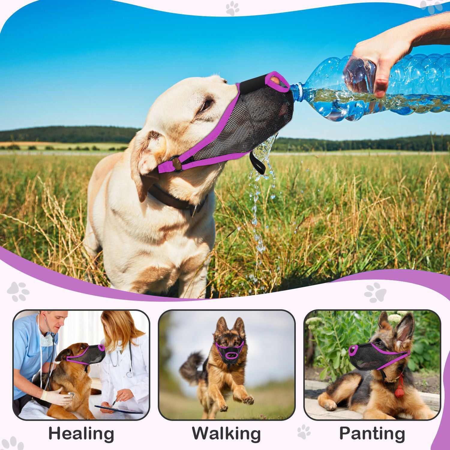 Pet Dog Muzzle Mask to Prevent
