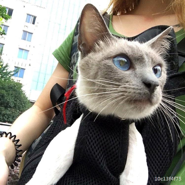 Adjustable Pet Outdoor Harness & Strap