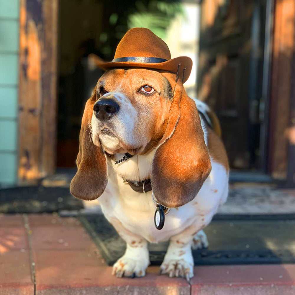 Pet Dog Cowboy Hat Headgear Cat